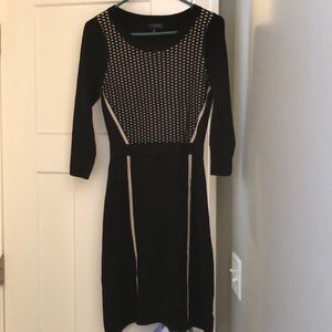 Figure flattering sweater dress by the Limited